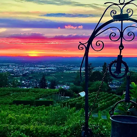 Appartement Traumwohnung Bühl