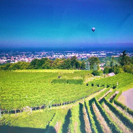 Appartement Traumwohnung *