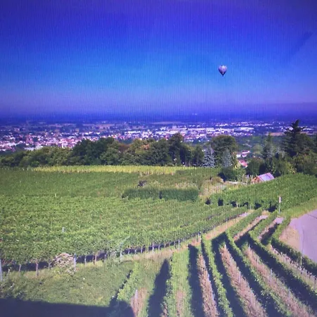 Apartamento Traumwohnung Bühl